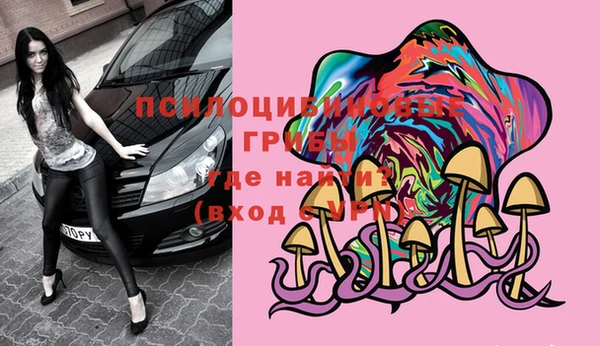 молекула духа Бугульма