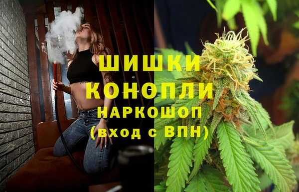 молекула духа Бугульма